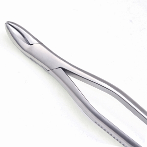 HORSE DENTAL INSTRUMENTS