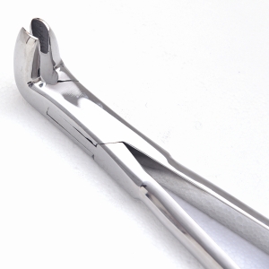 HORSE DENTAL INSTRUMENTS